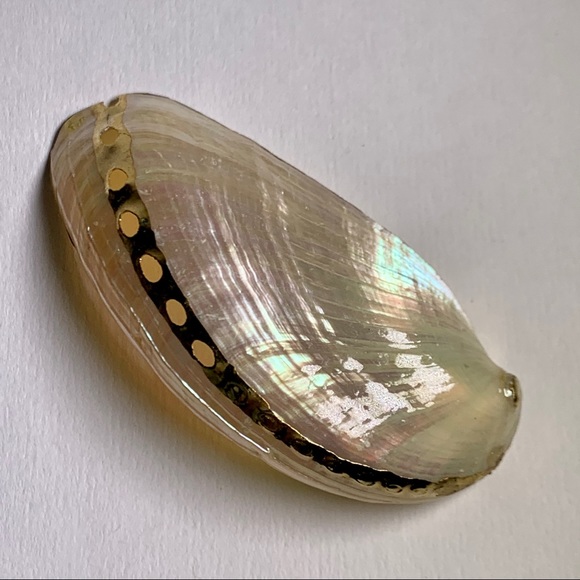 ⭐️ Gold Plated Shell ⭐️ - Picture 6 of 7